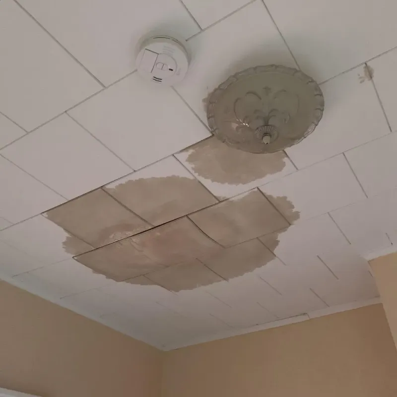 Ceiling Water Damage Repair in Lake Charles, LA